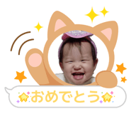 834528151