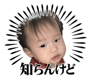 834528159