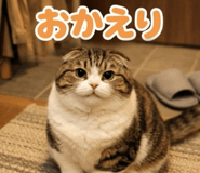 834530016