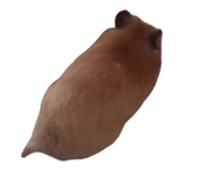 834540775