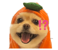 834542627