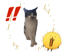 834553723