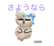 834555672