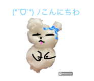 834555673