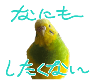 834559125