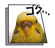 834559126