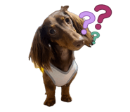 834559590