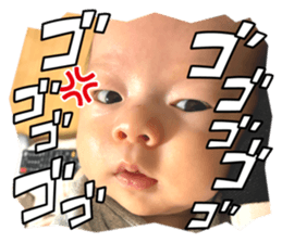 834560268