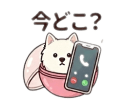 834563342