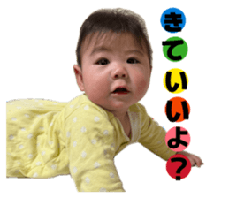 834563566
