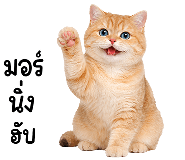ลายที่ 1
