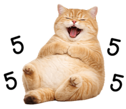 ลายที่ 7