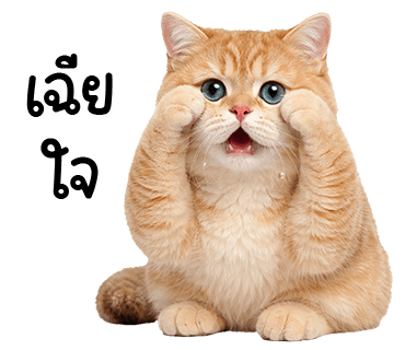 ลายที่ 8