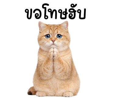 ลายที่ 9