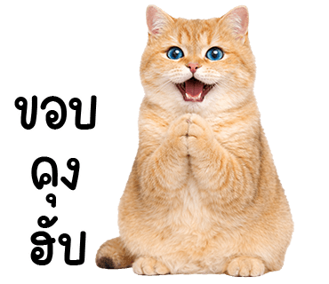 ลายที่ 10