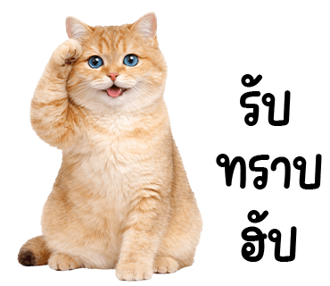 ลายที่ 11