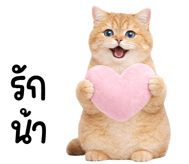 ลายที่ 15