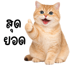 834566664