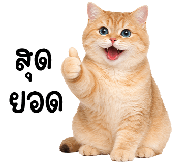 ลายที่ 16