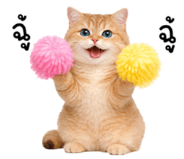 ลายที่ 37