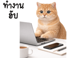 ลายที่ 39