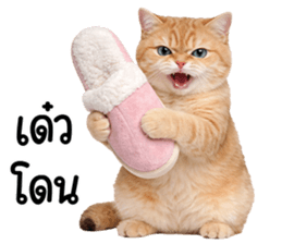 ลายที่ 45