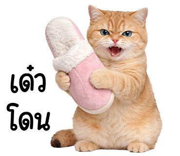 ลายที่ 23