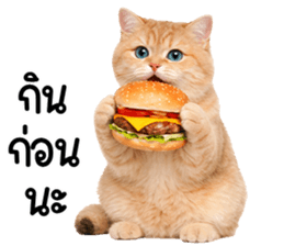 ลายที่ 51