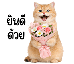 ลายที่ 53