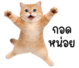 ลายที่ 57