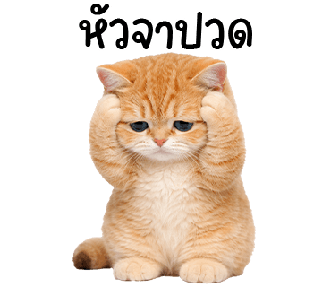 ลายที่ 30