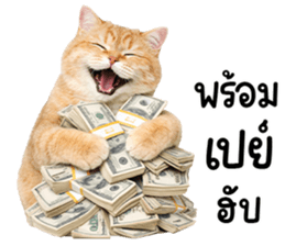 ลายที่ 61