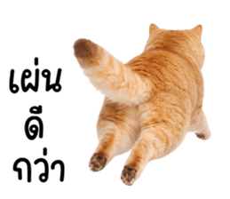 ลายที่ 63