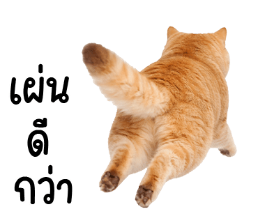 ลายที่ 32