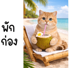 ลายที่ 65