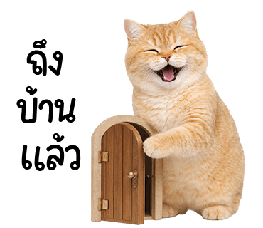 ลายที่ 34