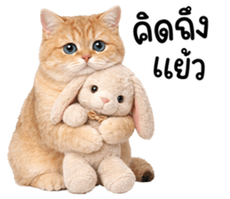 ลายที่ 69