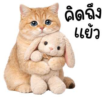 ลายที่ 35