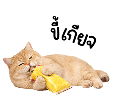 ลายที่ 36