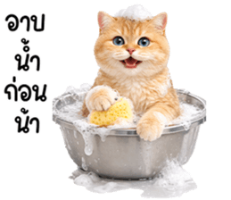 ลายที่ 77