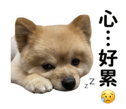 834568458