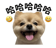 834568459
