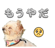 834571441