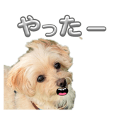 834571442