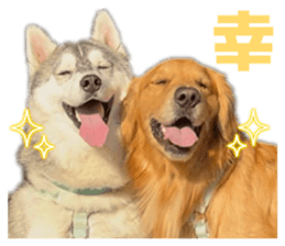 834572454