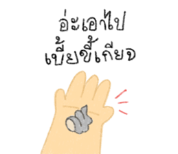 ลายที่ 13