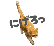 834575650