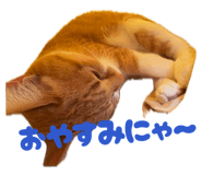 834575652