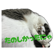 834575655