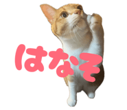 834575660
